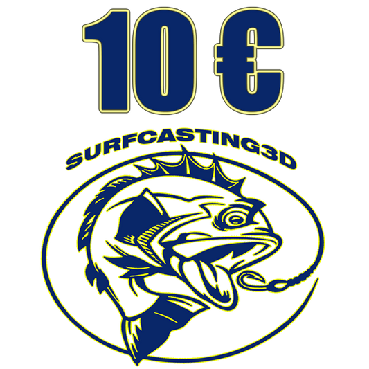 Cartes cadeaux Surfcasting3D